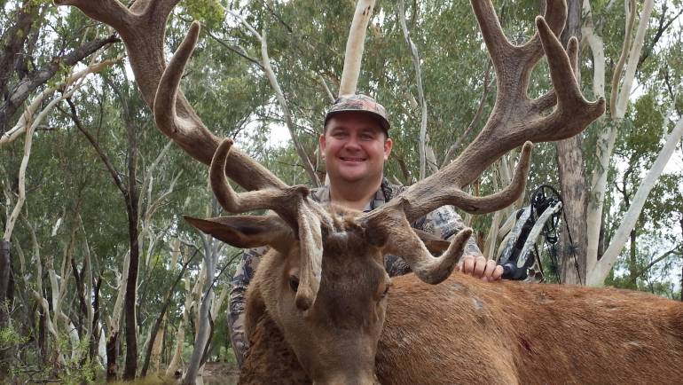 Early Season Red Stag January 2017